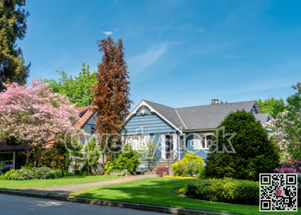 Residential neighborhood on bright sunny day