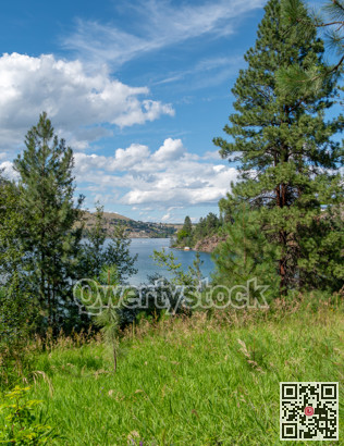 Summer landscape with trees, mountains and lake surface