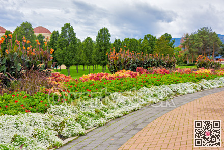 Wide open meadow in a park with paved pathway, blossoming flowers along the way