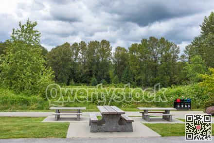 Picnic table and benches on green lawn in a park