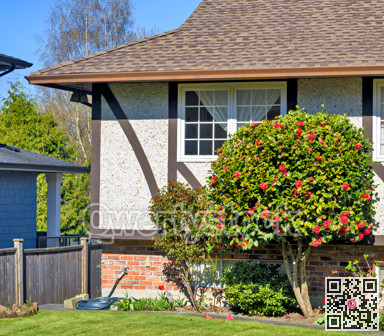 Corner of a house with decorative blossoming tree in front