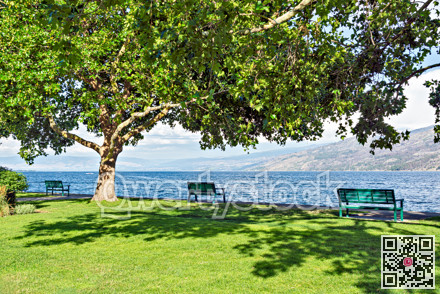 Recreation park along a waterfront pathway on Okanagan lake