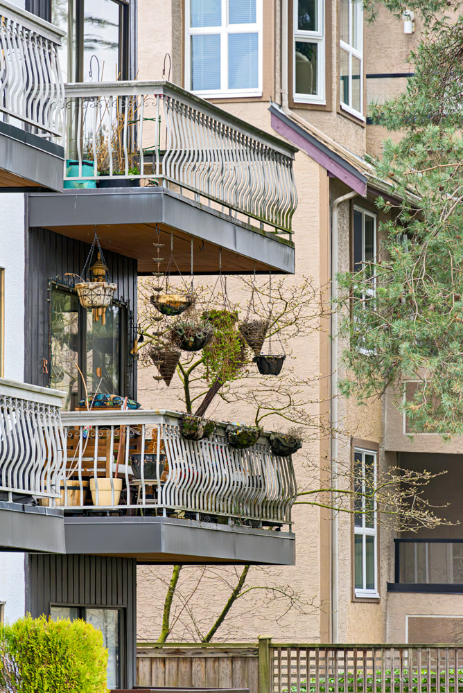 Dried suspended home patio garden on winter season in Vancouver