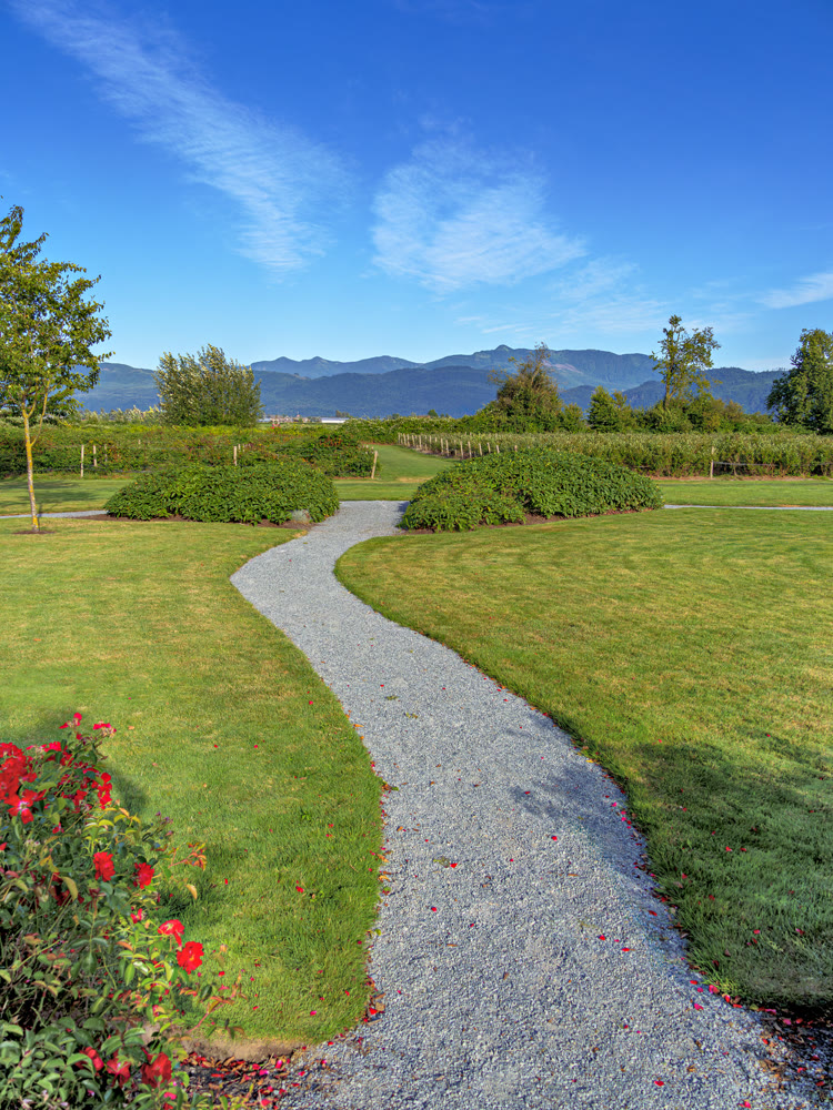 Gravel pathway over green lawn to farm orchard fields with mountains skyline