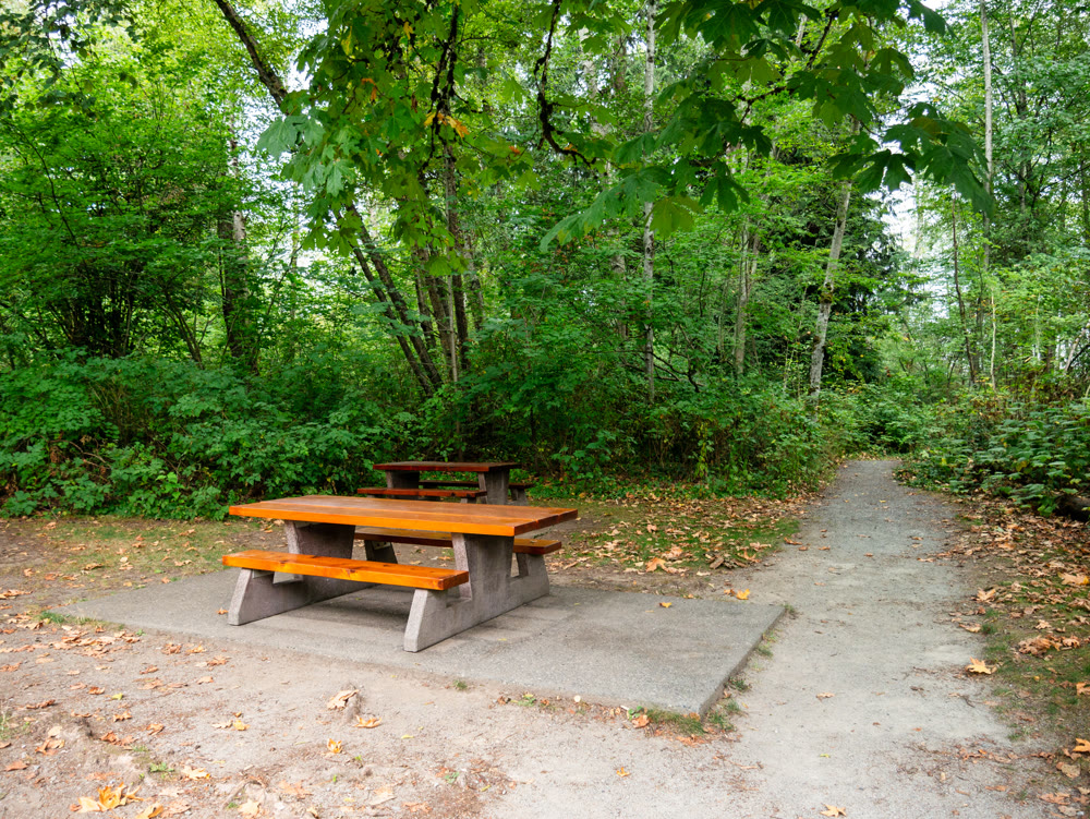 Recreation area under the trees with gravel pathway leading to a park