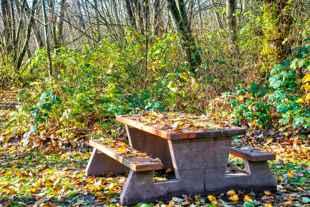 Fall season in a park. Dry foliage fallen on picnic table in a park