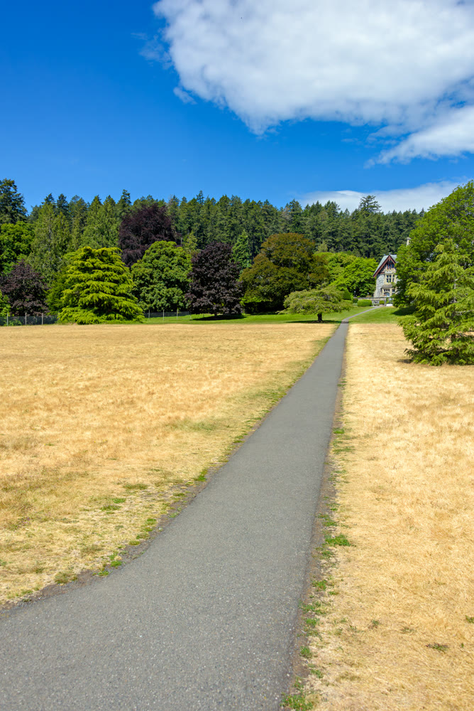 Landscape with long pathway over yellow lawn to a historic residential building