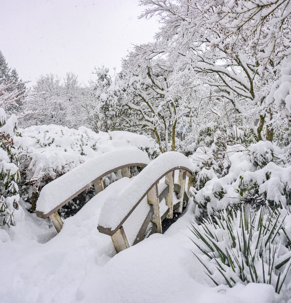 Wooden brook bridge in a park under snow fall on winter season