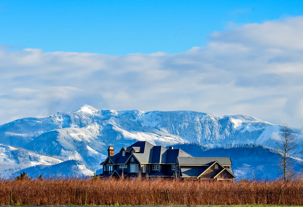A berry farm with mountain view on winter season in the Fraser valley
