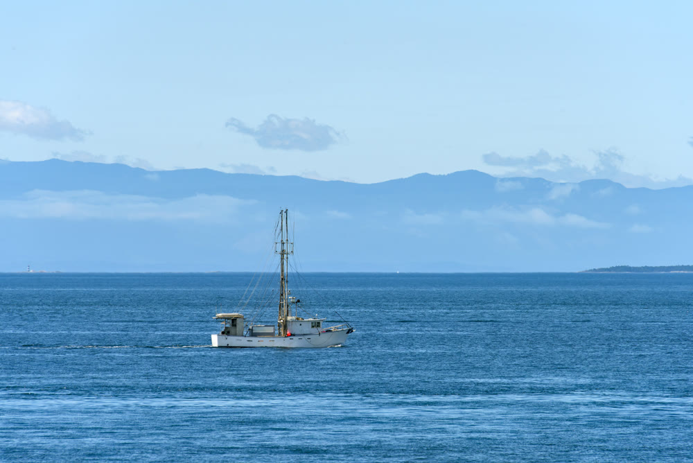 Small trawler is going to the fishing reid in Pacific ocean
