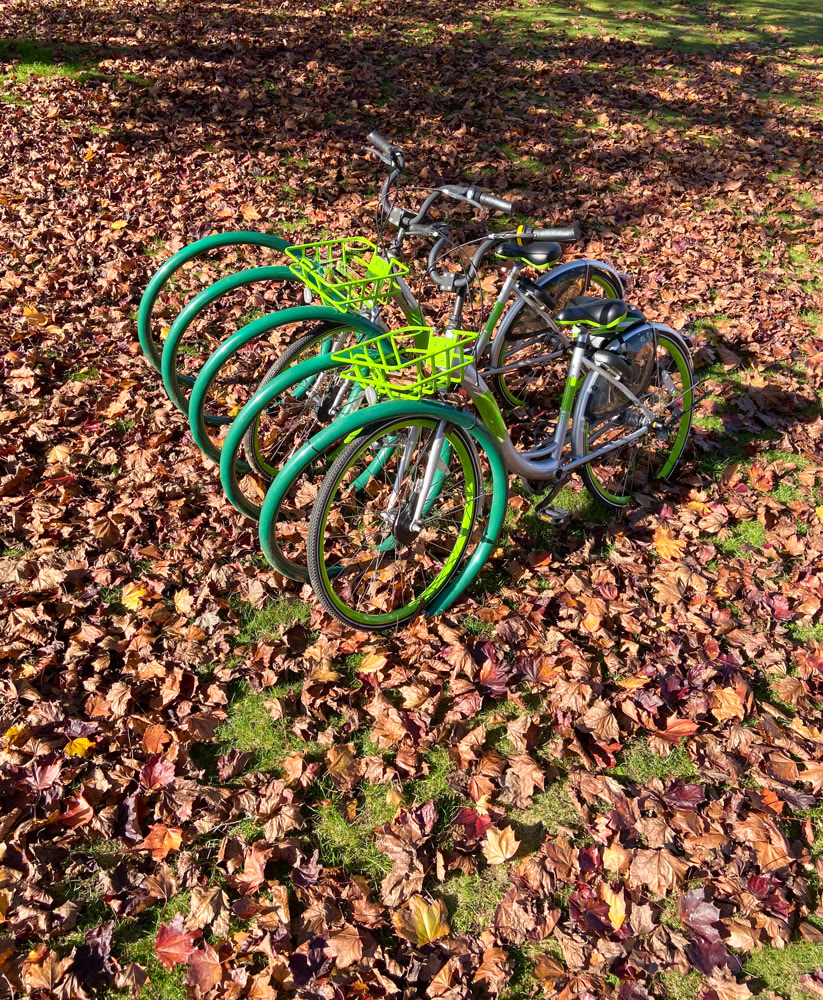 Green bycicles in recreational park on autumn season.