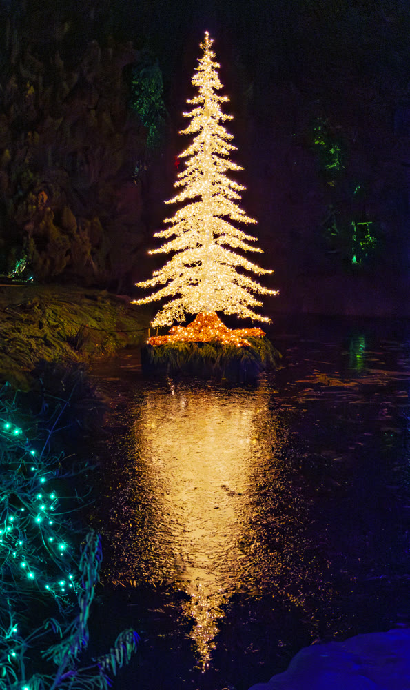 Big pinetree decorated with lights for Christmas celebration