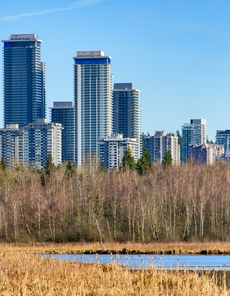 View Lougheed city center from Deer lake neighbourhood.