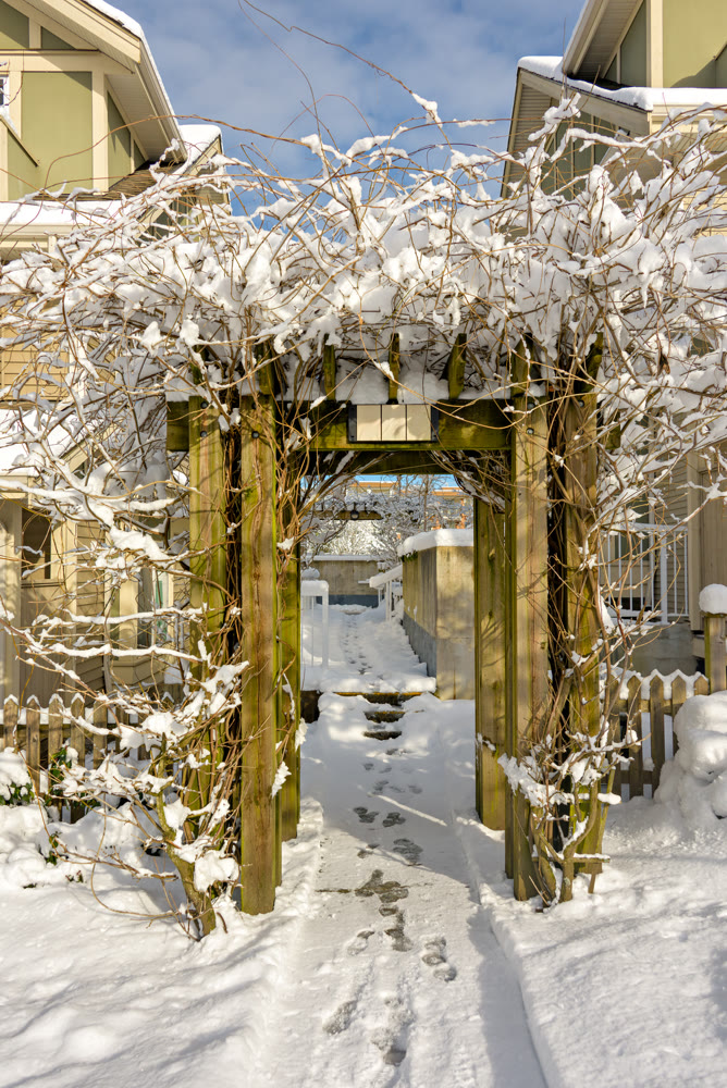 Wooden gate in snow. Winter in residential area on sunny day