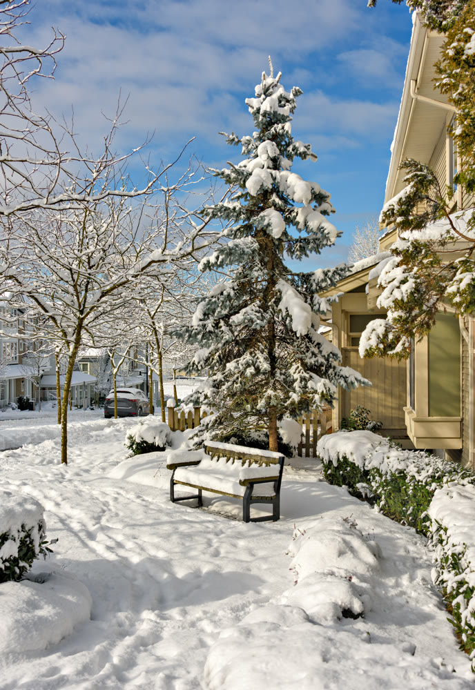 Bright winter day in residential area of Coquitlam, British Columbia, Canada