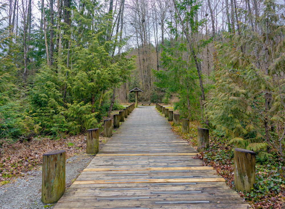 Wooden paved trail in a park on winter season in British Columbia, Canada