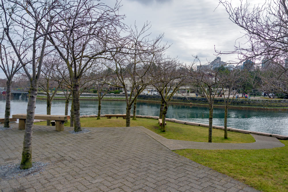 Ron Basford park on Granville island on winter day in Vancouver, Canada