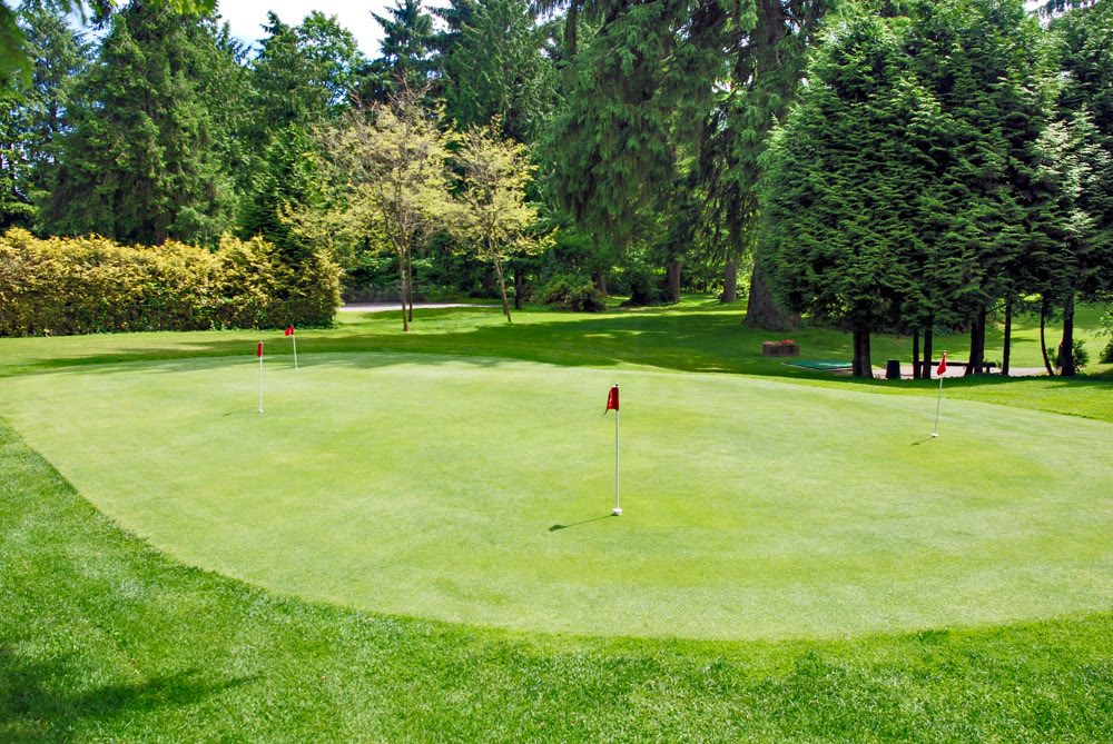 Overview of a golf field with red flags on green lawn