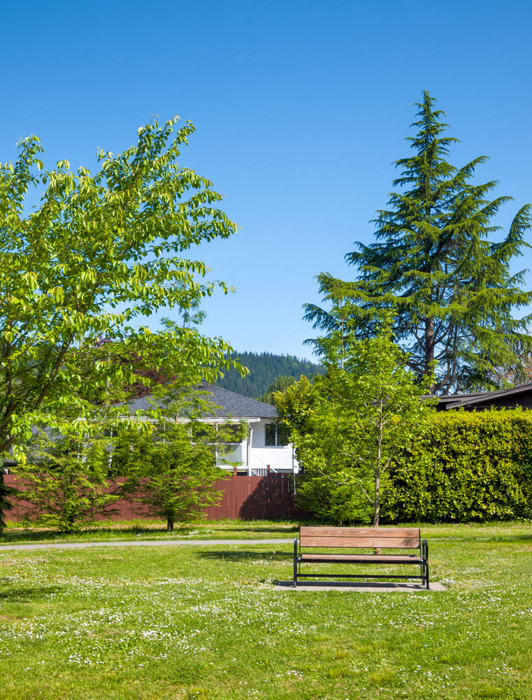 Recreational area with the bench on green lawn with spring flowers