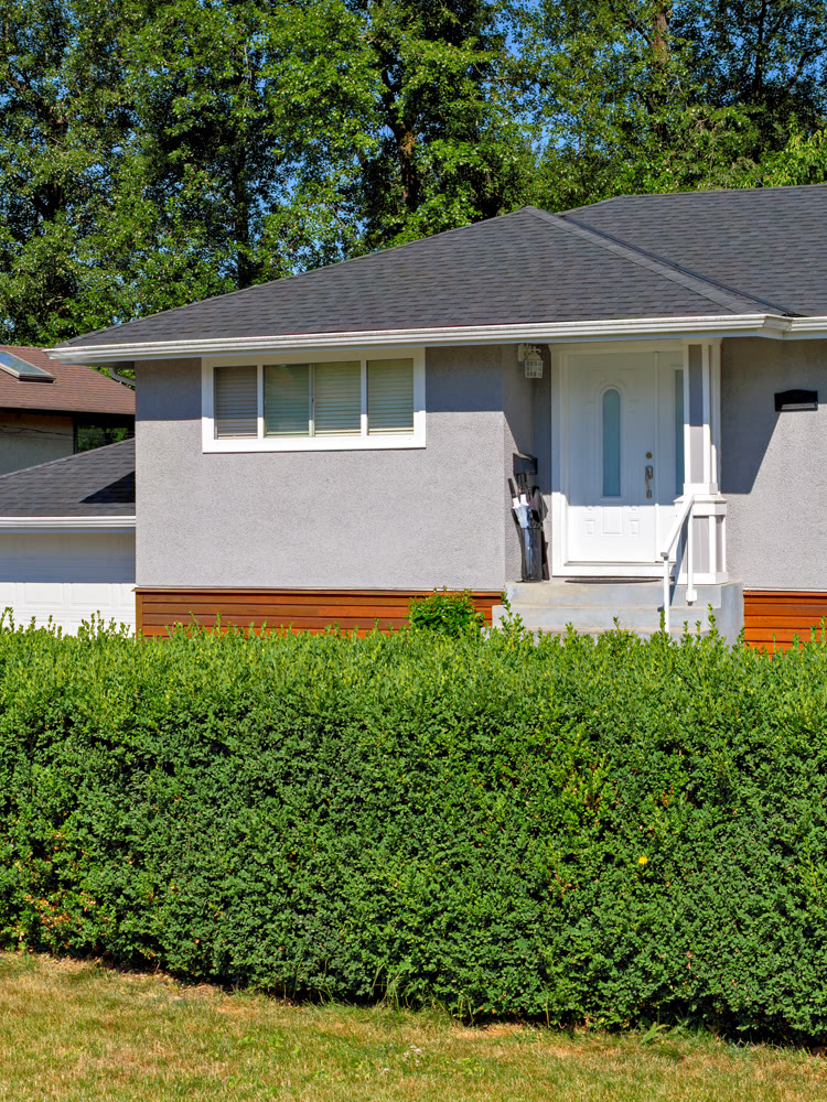 Corner and entrnace door of detached residential house on bright summer day