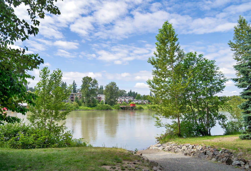 Fraser river view from McMillan island on a sunny summer day in British Columbia