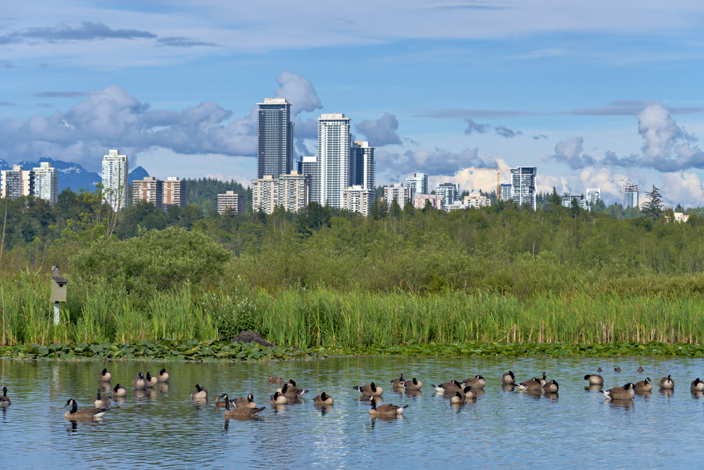 View of Lougheed city center from Burnaby lake neighbourhood