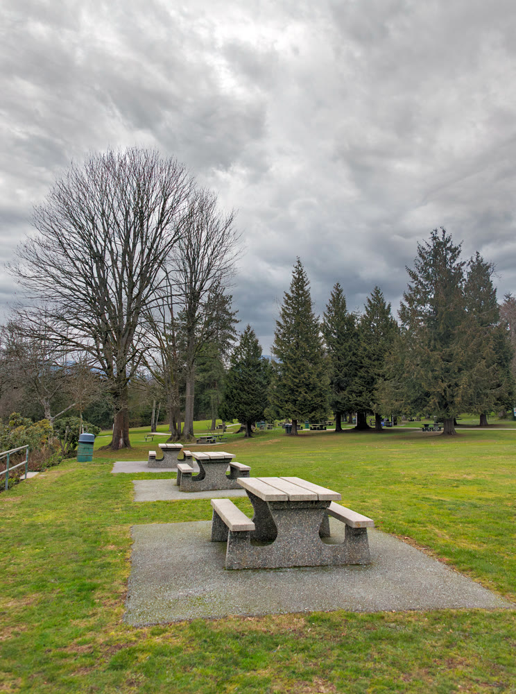 Picnic tables and benches on green lawn in a park on winter season