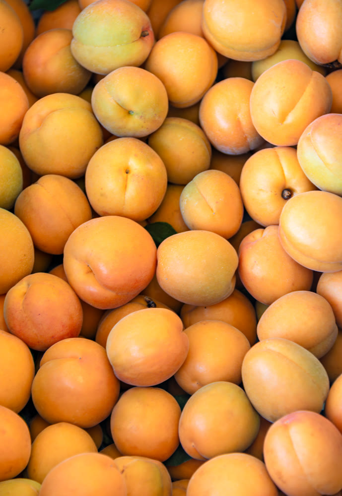 Fresh apricots for sale on farm stand in Okanagan valley