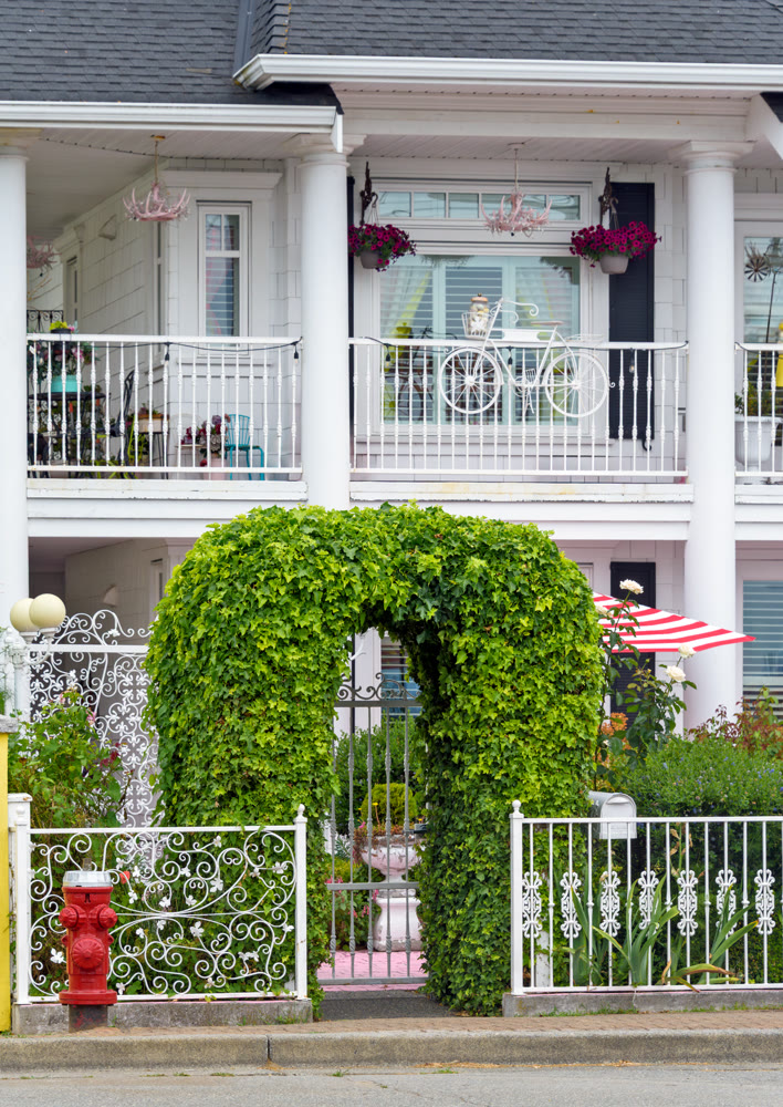 Patterned forged fence with green ivy arch in front of residential house