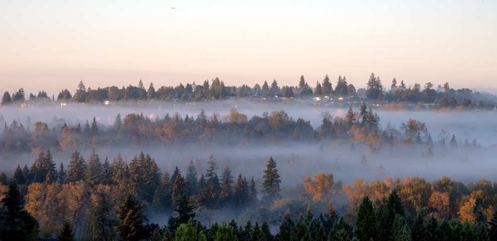 Suburban area of residential houses on foggy morning in British Columbia