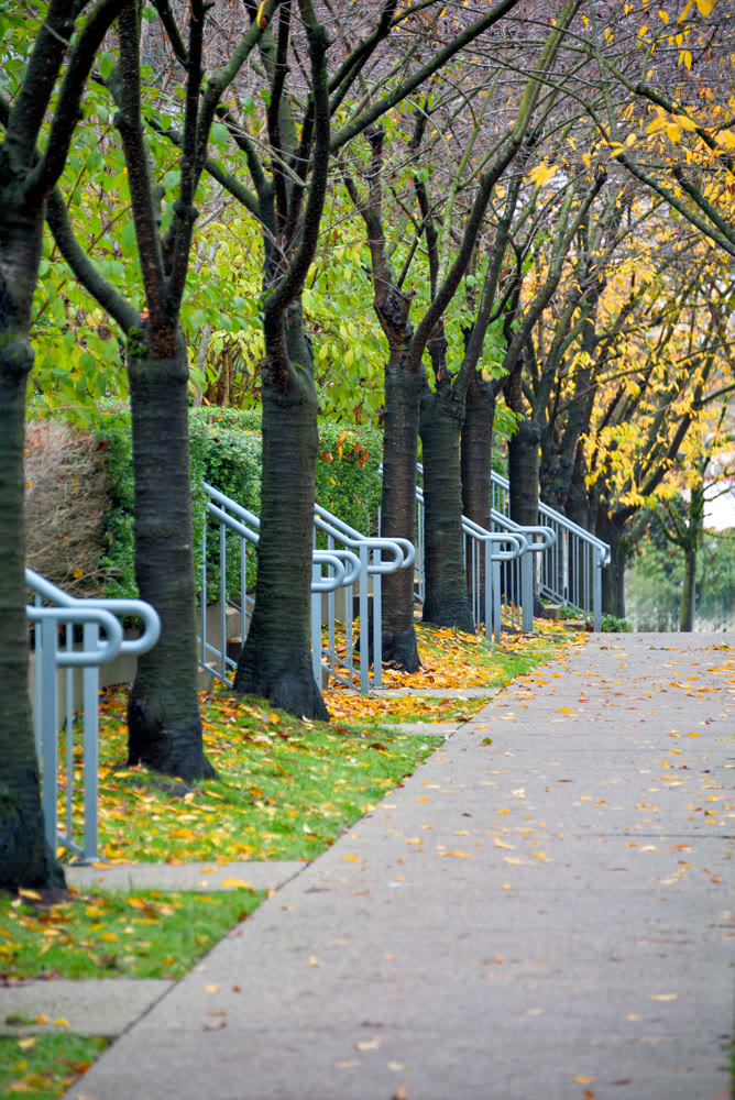 Paved pathway in a park through residential area in Vancouver, Canada