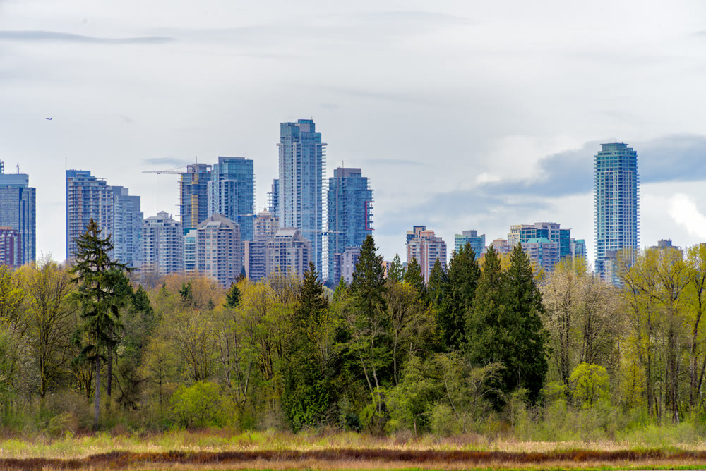 High rise cityscape with nature park reserve in front and overcasted sky background.