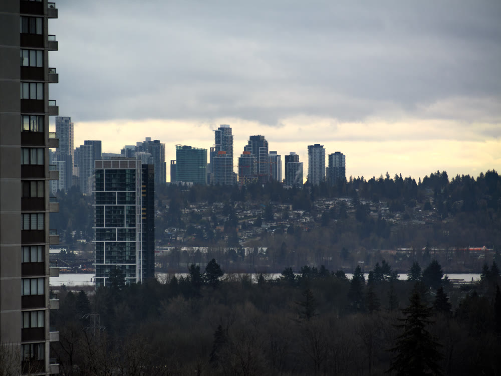 Cityscape with high-rise buildings on overcast sky background