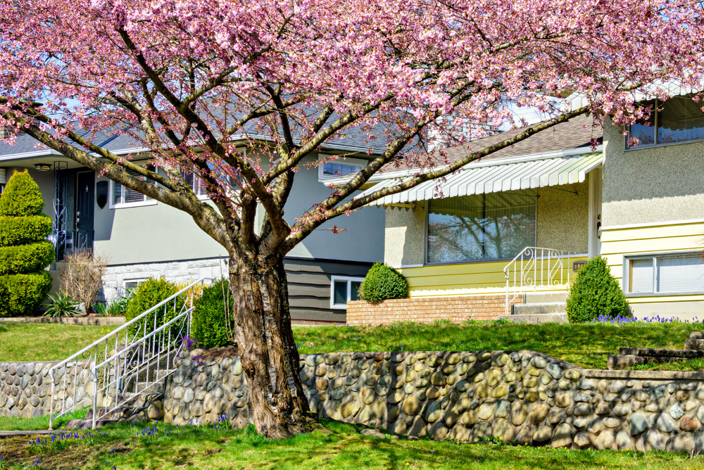 Entrance of the family house under the canopy with front lawn on the land terrace