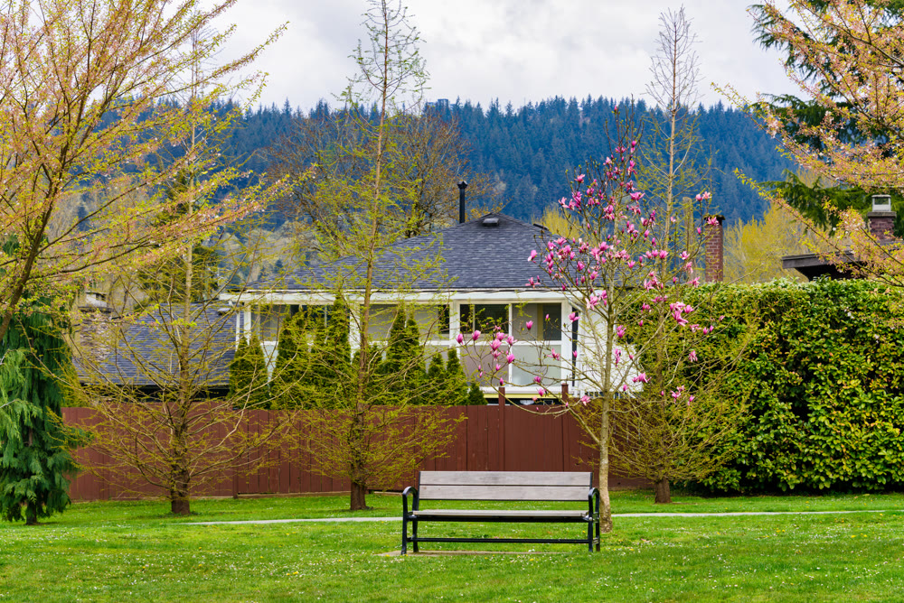 Bench in a park in front of residential house on overcast spring day