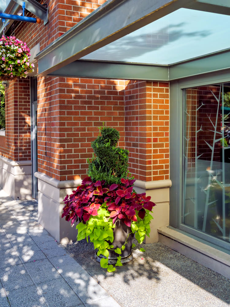 Big flower pod on a street in front of show window of a store