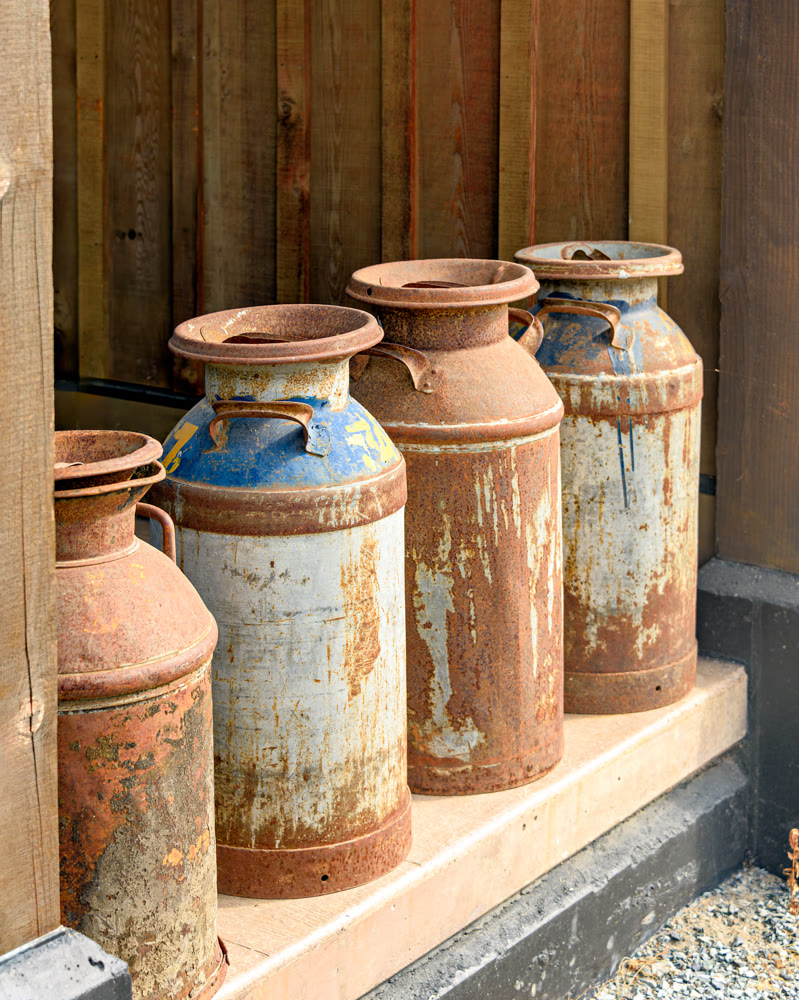 Four rusty vintage milk cans by a wooden wall