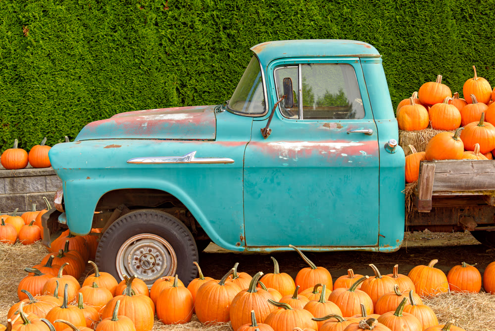 Vintage teal pickup truck loaded with orange pumpkins