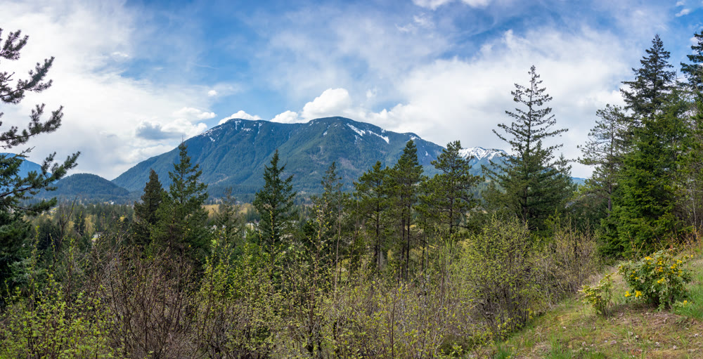 Panoramic View of Mountain Range and Green Forest Under Blue Sky