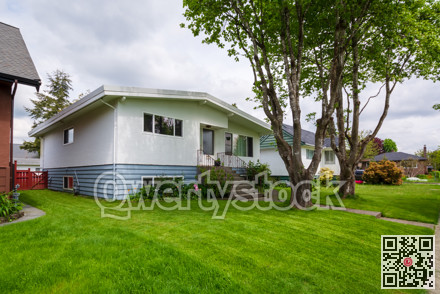 Average residential house with old trees in front