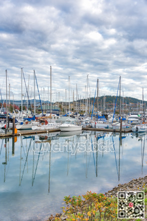 Sailing boats yachts at mooring pier on Pacific ocean