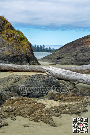 View at Pacific ocean bay near Tofino, British Columbia, Canada