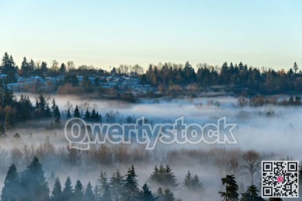 Residential houses in suburban of Vancouver on early morning winter day
