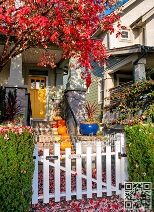 A perfect neighbourhood. Door steps decorated with pumpkins at the entrance door