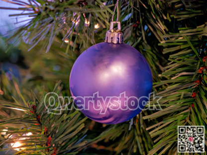 Purple bauble on Christmas tree leaves background
