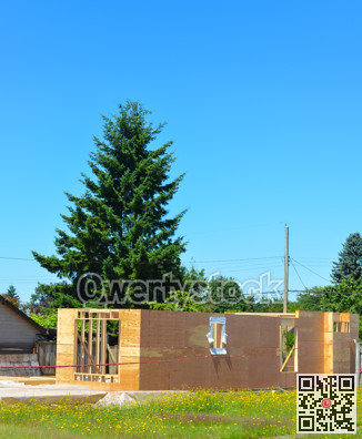 Detached family home under construction with fir tree on back yard