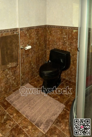 Black toilet unit in a bathroom of luxury house.