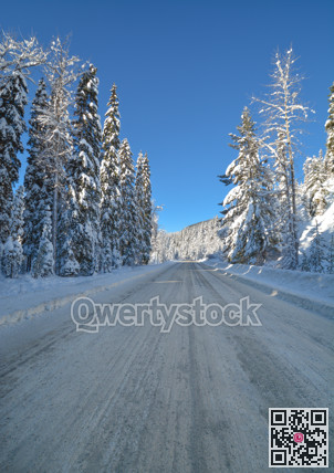 Snowed road through the winter forest in Manning Park, BC.
