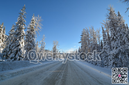 Snowed road through the winter forest in Manning Park, BC.