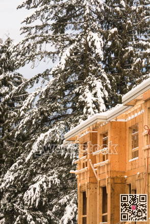 Fragment of townhome complex under construction on winter pine trees background.